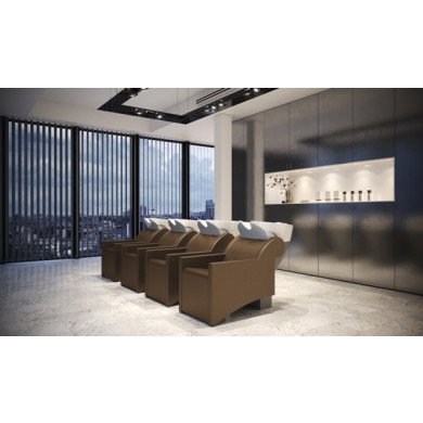 Мойка парикмахерская "WASHLOUNGE JUBILEE BASIC"
